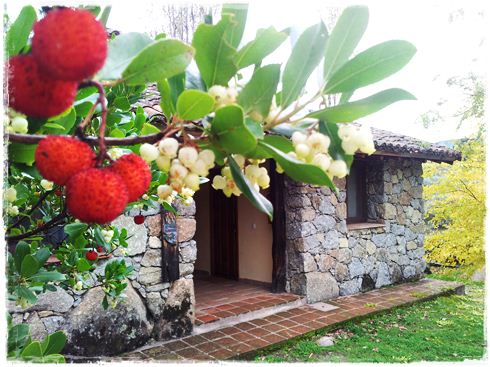 Fin de Año en Gredos