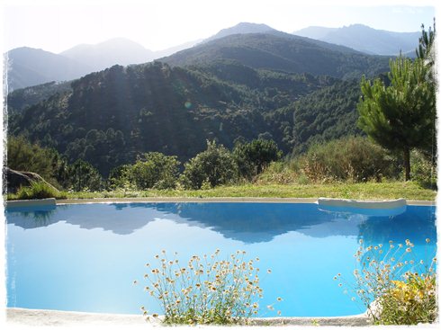 Piscina en la naturaleza