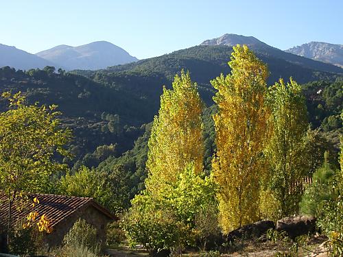 Vista otoño en gredos